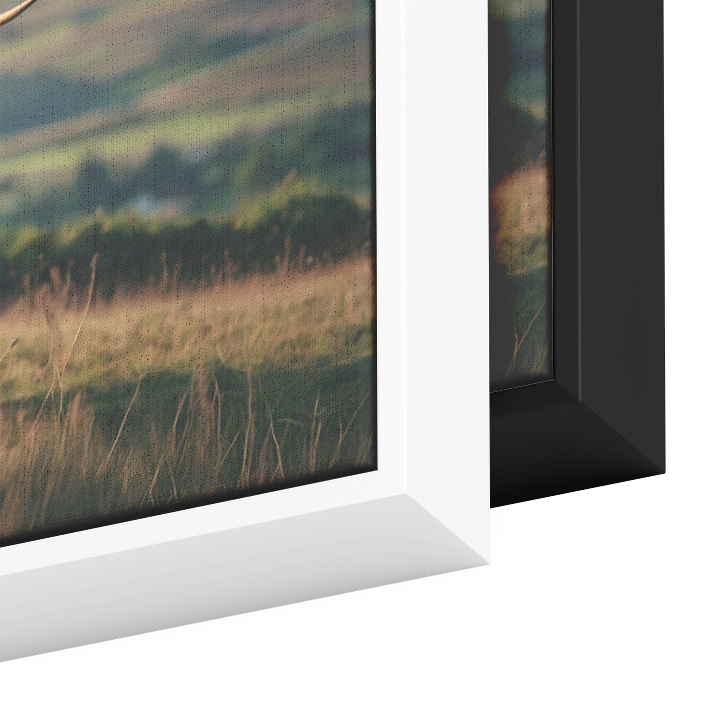 Embracing the Wild Beauty of the Highlands (Rectangle Framed Canvas Design)